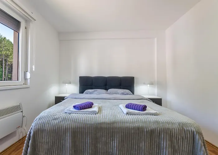 Luka Apartment Zlatibor