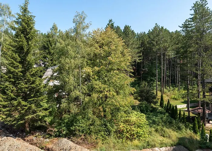 Apartment Luka Zlatibor